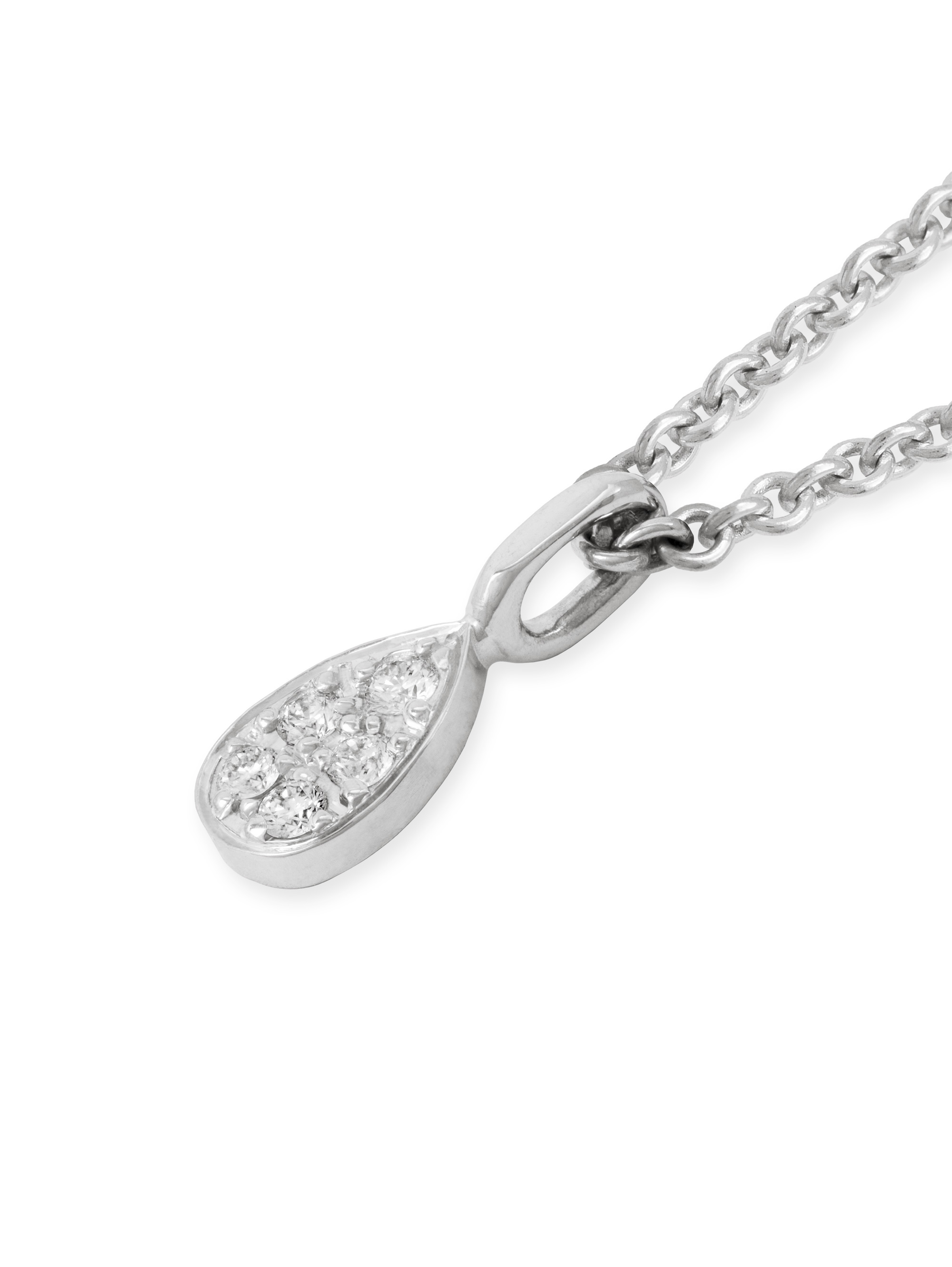 LESER Anhaenger-JungerLuxus-750WG-122800