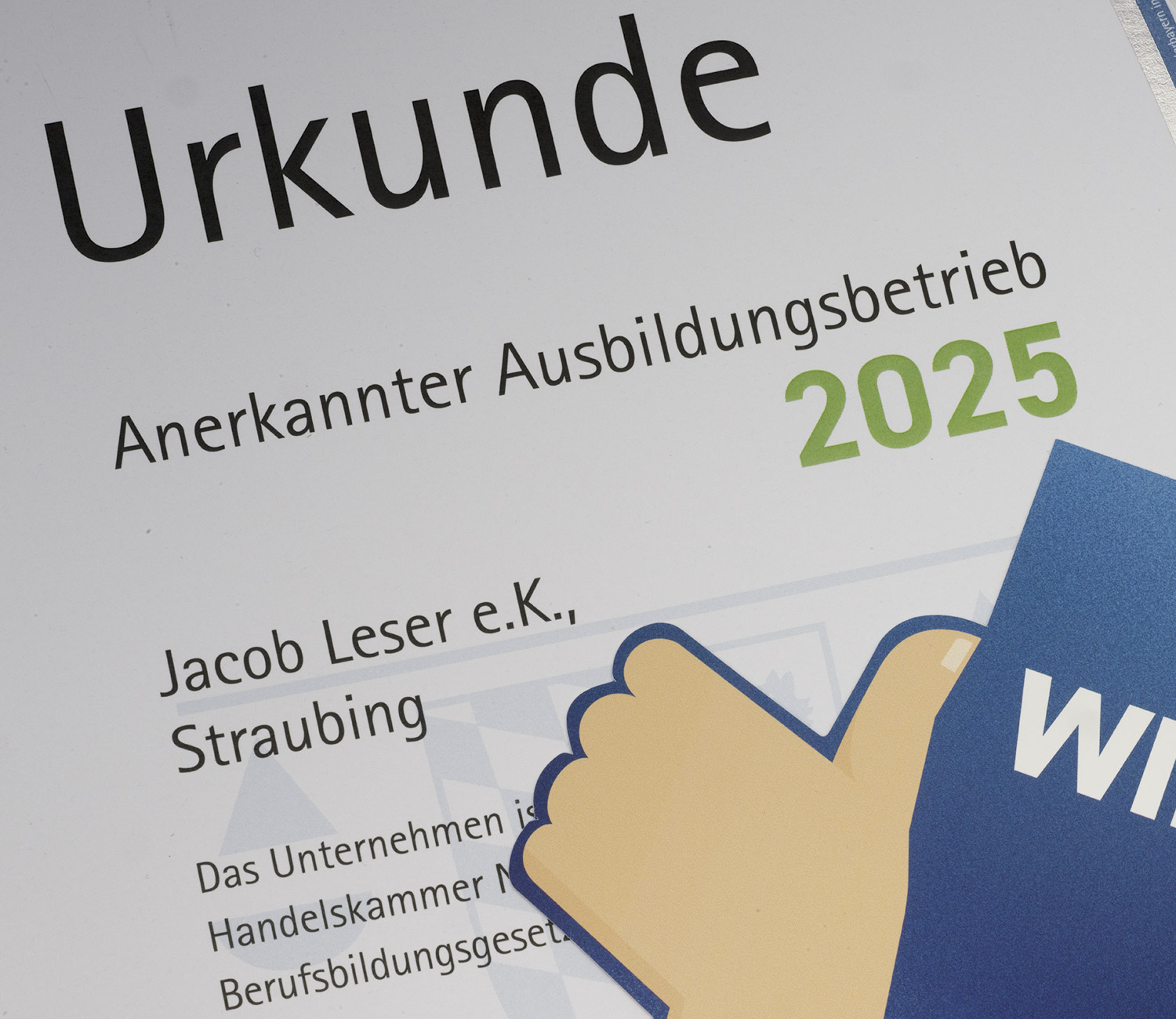 LESER Blog-Urkunde 2025 LESER Blog-Urkunde 2025