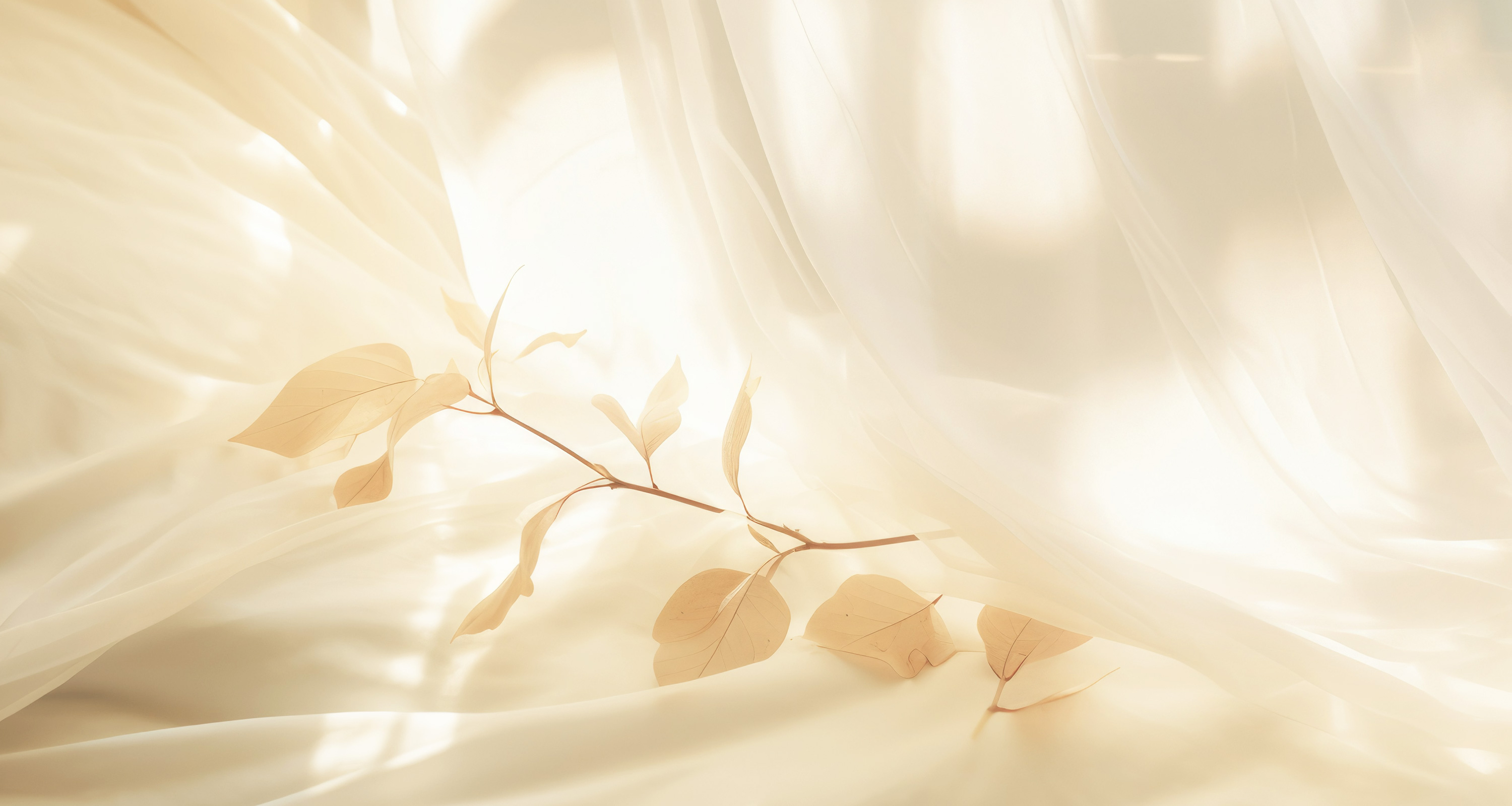 LESER Kollektion-EinHauchvonNichts-Banner