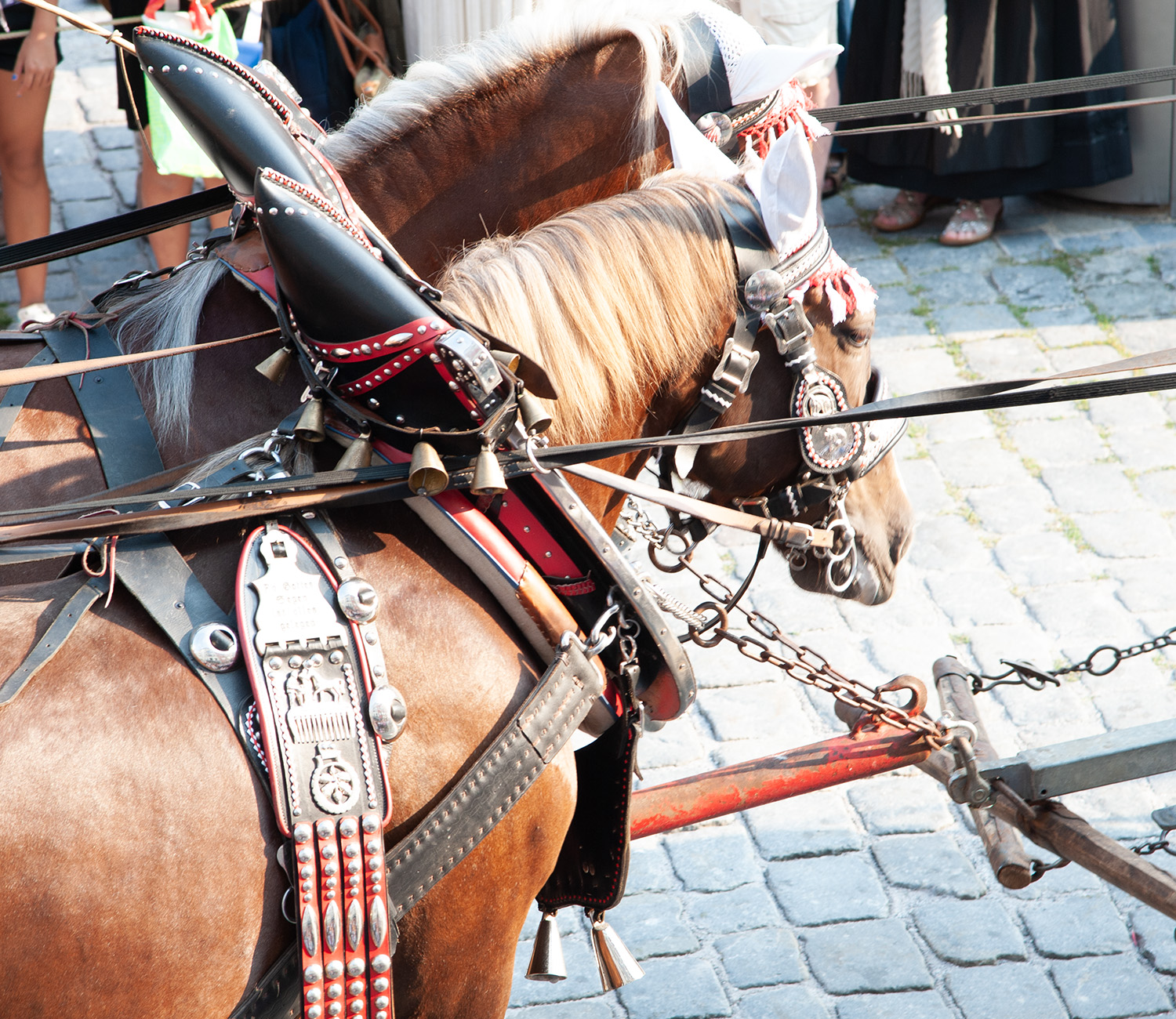 LESER Blog-Volksfest LESER Blog-Volksfest